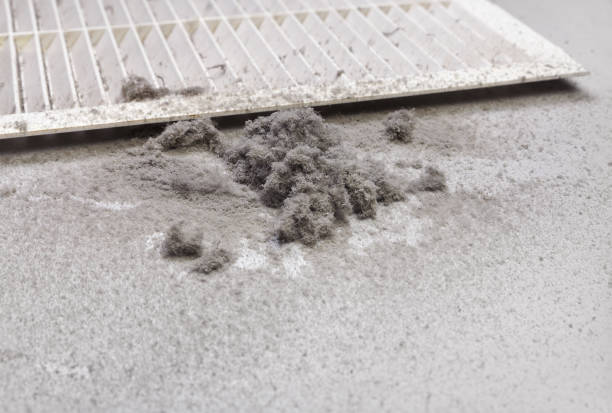 Best Residential Air Duct Cleaning  in Littlestown, PA